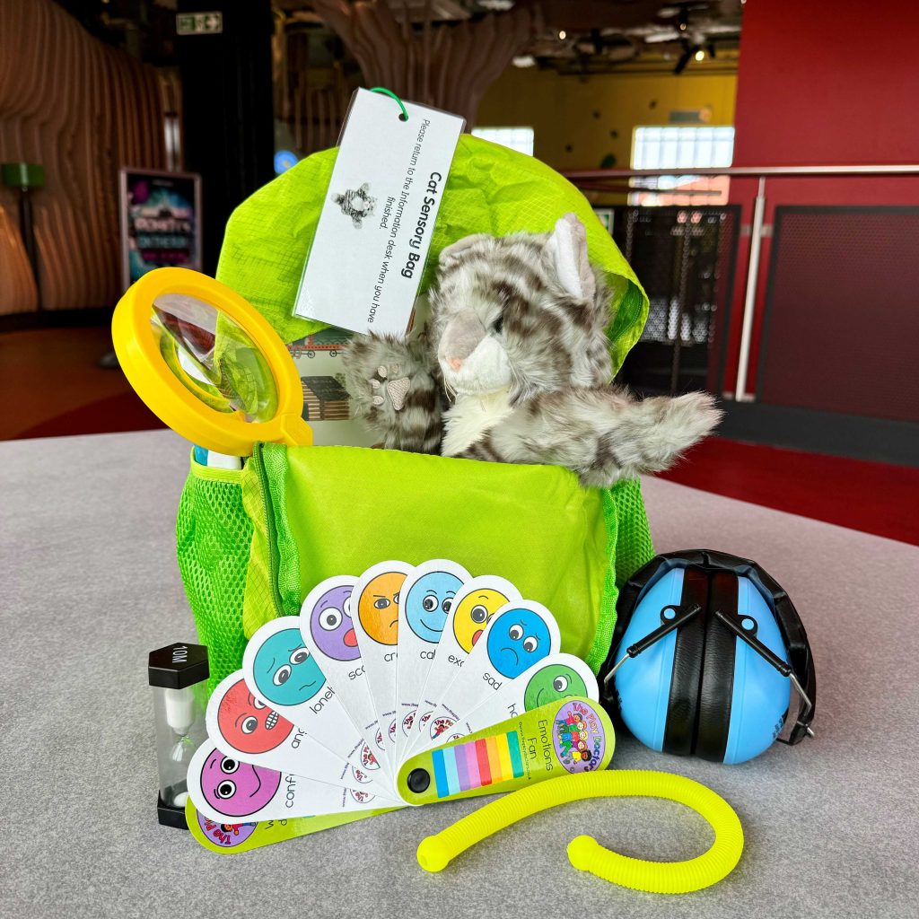 Accessibility at Eureka!