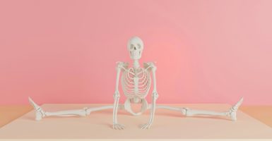 20 – 21 Sept: Art & Science Month – Biology